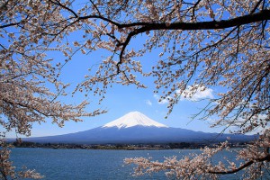 Mount Fuji i Japan. Hyr billig bil i Japan med Billeje.Info